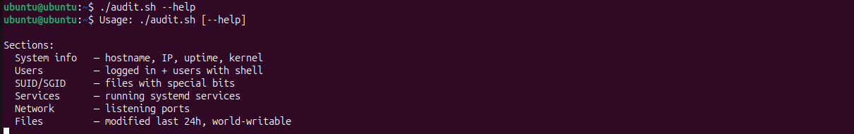 Bash scripting - system audit automation