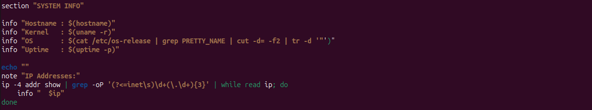 Bash scripting - system audit automation