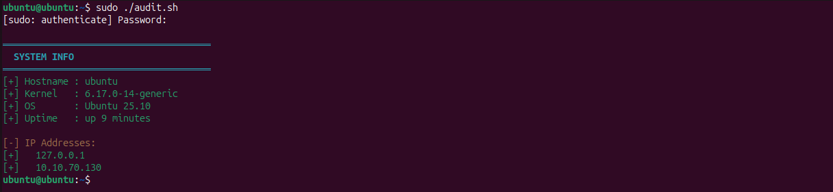 Bash scripting - system audit automation