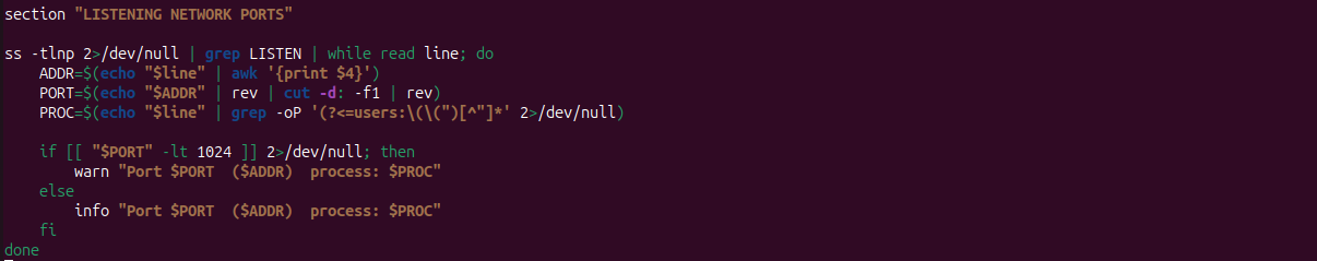 Bash scripting - system audit automation