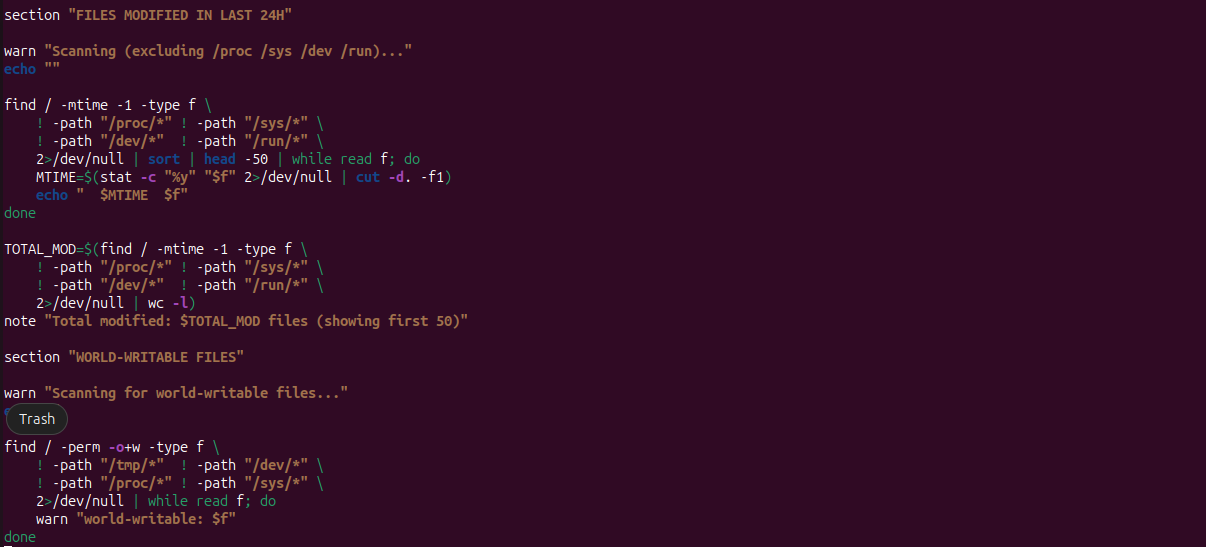 Bash scripting - system audit automation