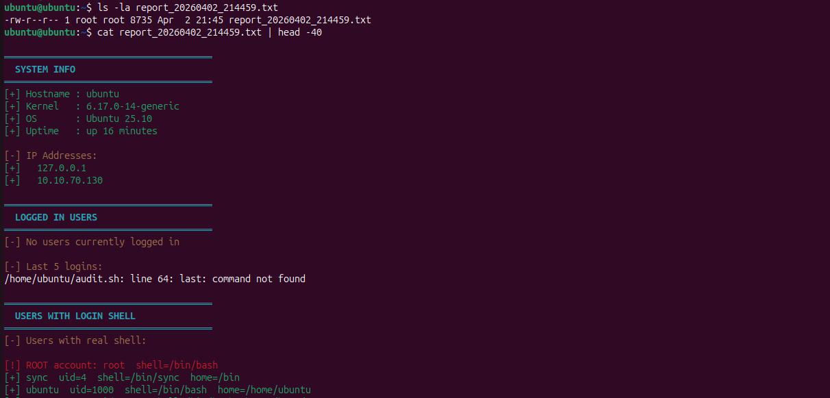 Bash scripting - system audit automation